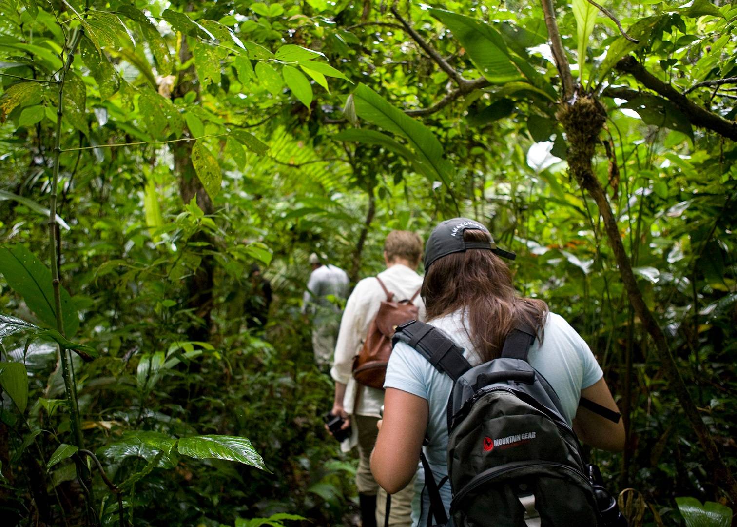 Tour Guide Rainforest